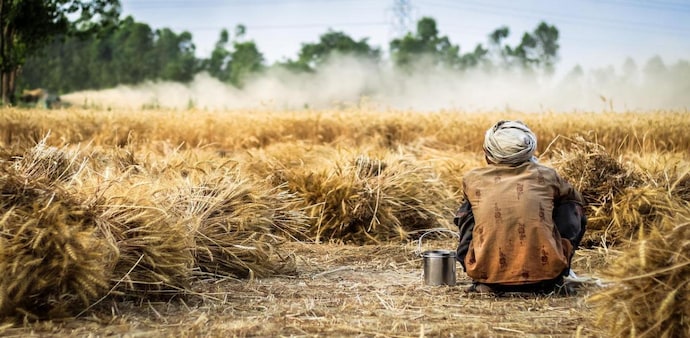 It was the heat in March — the hottest in India since records first started being kept in 1901 — that stunted crops. It was the heat in March — the hottest in India since records first started being kept in 1901 — that stunted crops.