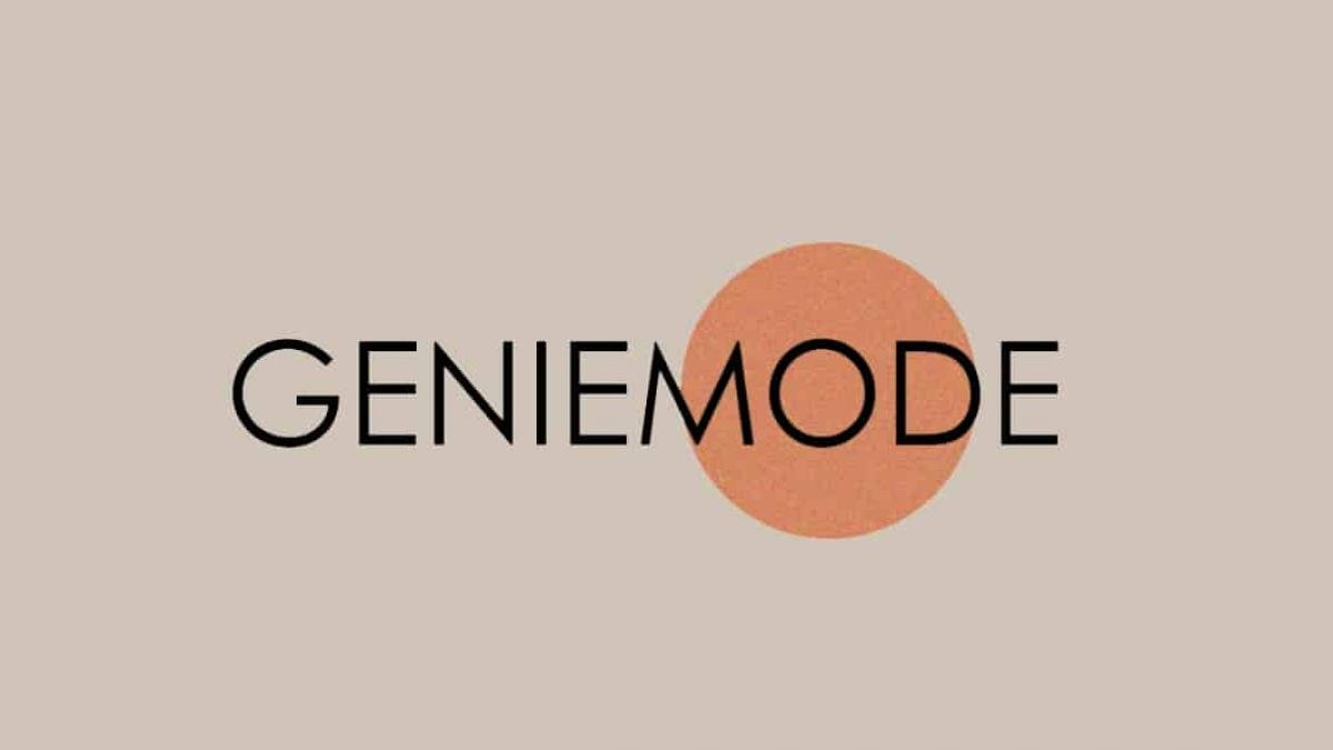 Geniemode bags $28 mn in Series B funding from Tiger Global, Info Edge Ventures - BusinessToday