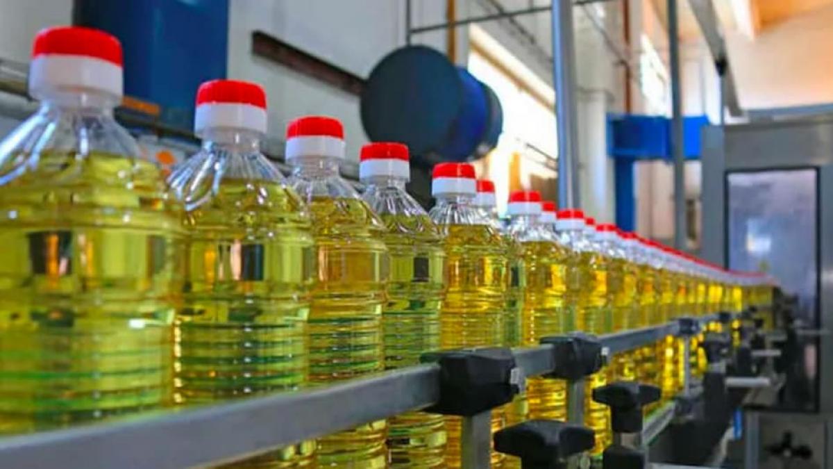 Indonesia's palm oil export ban a blow to top FMCG firms - BusinessToday