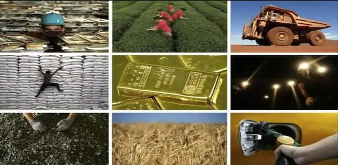 The eight core sectors measured in the index are - Coal, Crude Oil, Natural Gas, Refinery Products, Fertilizers, Steel, Cement, and Electricity. The eight core sectors measured in the index are - Coal, Crude Oil, Natural Gas, Refinery Products, Fertilizers, Steel, Cement, and Electricity.