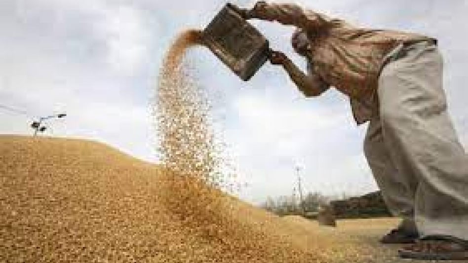 For the first time, top global wheat importer Egypt has purchased the grain from India, which sources say has helped India establish a reputation as a top tier supplier. For the first time, top global wheat importer Egypt has purchased the grain from India, which sources say has helped India establish a reputation as a top tier supplier.