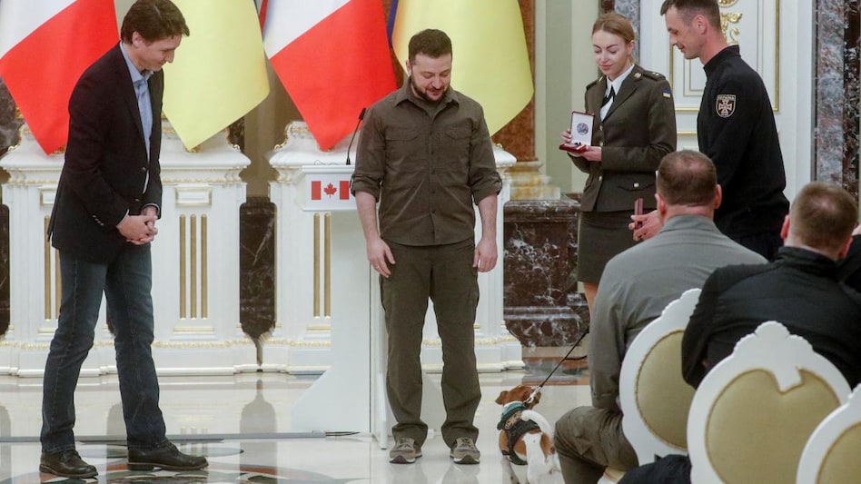 Canadian Prime Minister Justin Trudeau and Ukraine's President Volodymyr Zelenskiy award service dog "Patron" Canadian Prime Minister Justin Trudeau and Ukraine's President Volodymyr Zelenskiy award service dog "Patron"