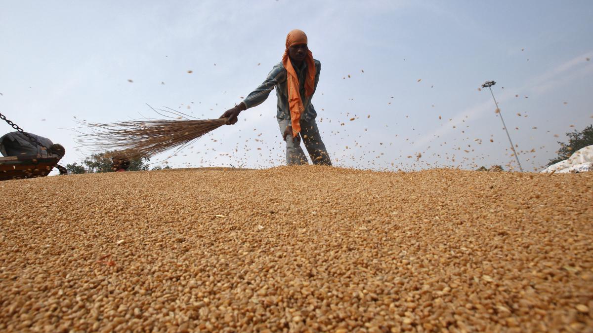 Over half a dozen countries ask India to supply more than 1.5 million tonnes of wheat 