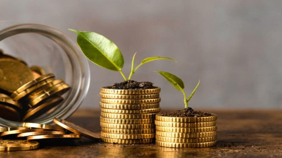 WOW Skin Science raises primary capital from Singapore's GIC WOW Skin Science raises primary capital from Singapore's GIC