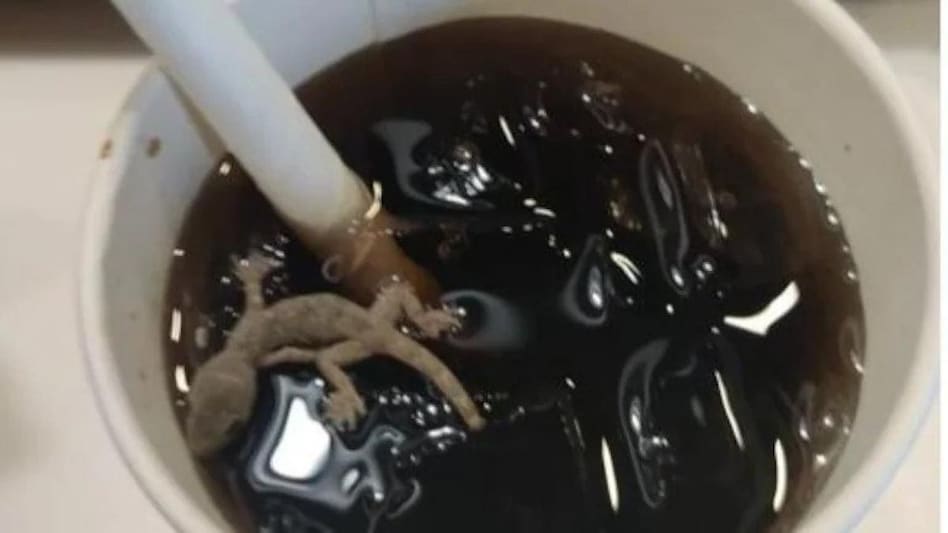 The customer said that the manager did not pay attention to their complaint and that the money paid will be refunded The customer said that the manager did not pay attention to their complaint and that the money paid will be refunded