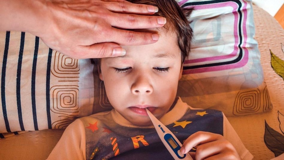 What is Tomato flu? Symptoms, treatment, precautions; check all details (Representative image) What is Tomato flu? Symptoms, treatment, precautions; check all details (Representative image)