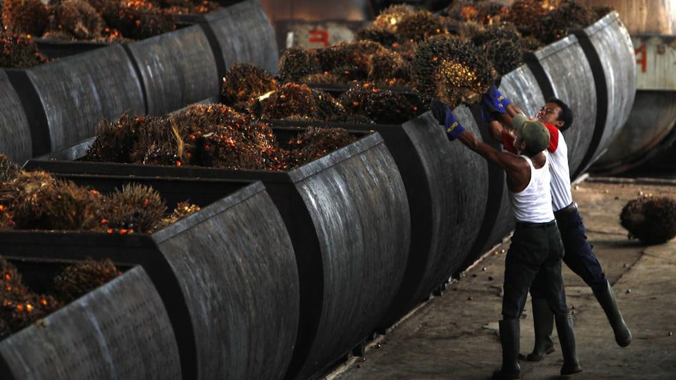 Indonesia to lift palm oil export ban from Monday, says president (Photo: Reuters) Indonesia to lift palm oil export ban from Monday, says president (Photo: Reuters)