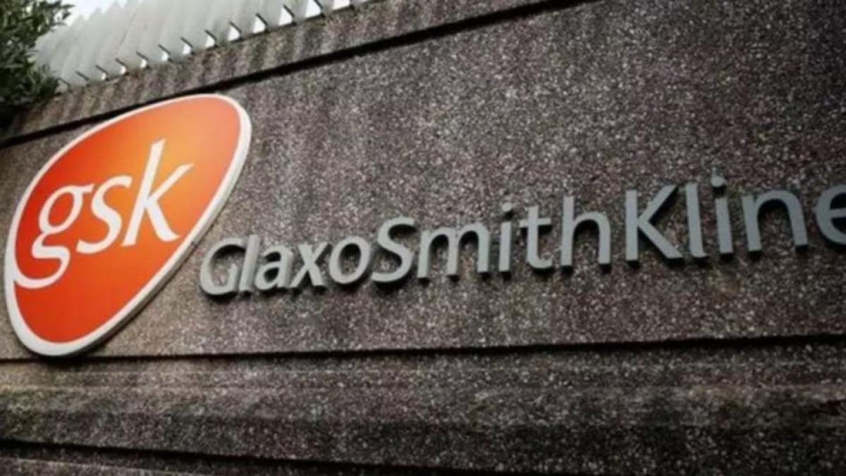 hares of GlaxoSmithKline Pharmaceuticals closed at Rs 1,514.50 per scrip on BSE, up 1.42 per cent from its previous close. hares of GlaxoSmithKline Pharmaceuticals closed at Rs 1,514.50 per scrip on BSE, up 1.42 per cent from its previous close.