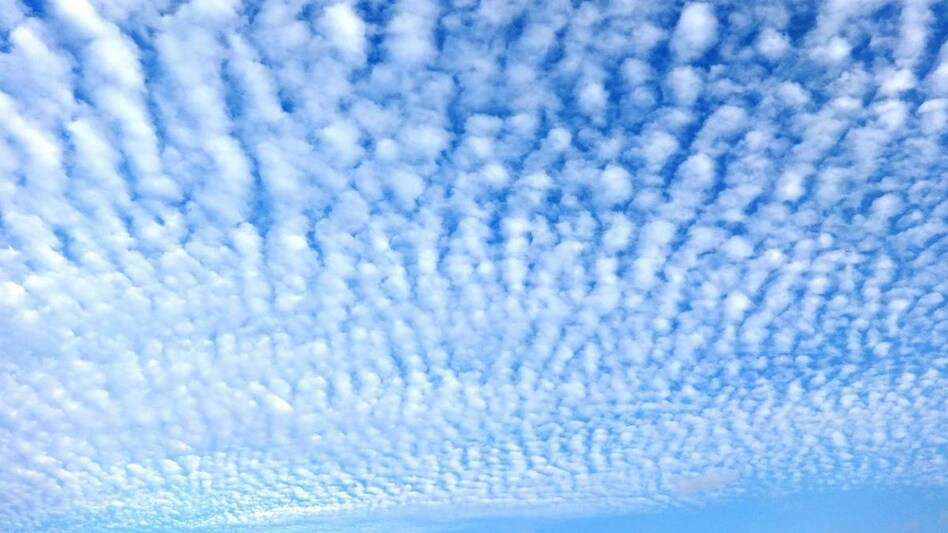 Representative image Representative image