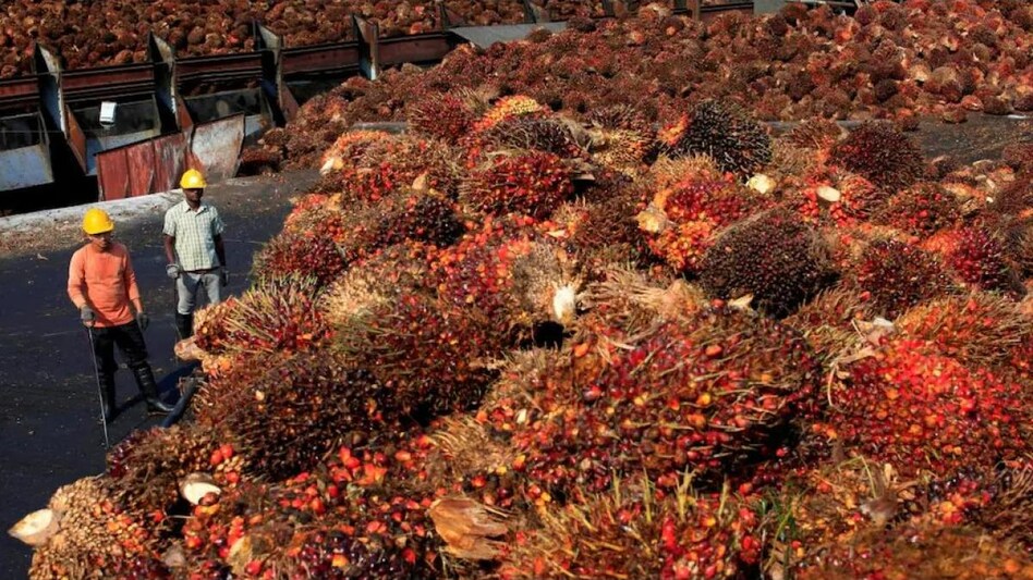 Palm oil is preferred in India by the food industry as it is relatively cheaper, lasts longer and is more stable at high temperatures than other oils. Palm oil is preferred in India by the food industry as it is relatively cheaper, lasts longer and is more stable at high temperatures than other oils.