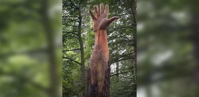 The tallest tree in Wales has been made into a sculpture known as The Giant Hand of Vyrnwy by the British artist Simon O’Rourke The tallest tree in Wales has been made into a sculpture known as The Giant Hand of Vyrnwy by the British artist Simon O’Rourke