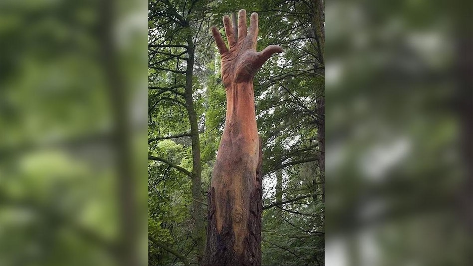The tallest tree in Wales has been made into a sculpture known as The Giant Hand of Vyrnwy by the British artist Simon O’Rourke The tallest tree in Wales has been made into a sculpture known as The Giant Hand of Vyrnwy by the British artist Simon O’Rourke
