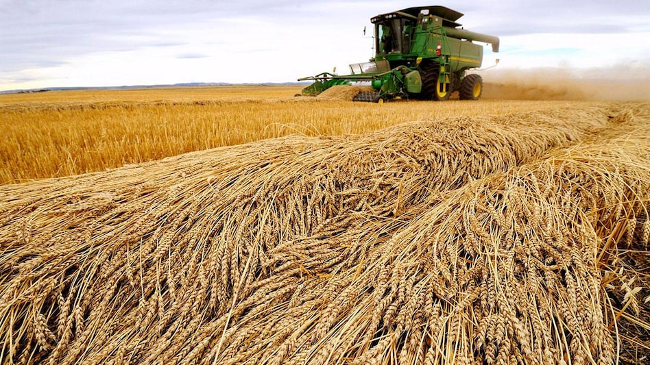 US on India's wheat export ban US on India's wheat export ban