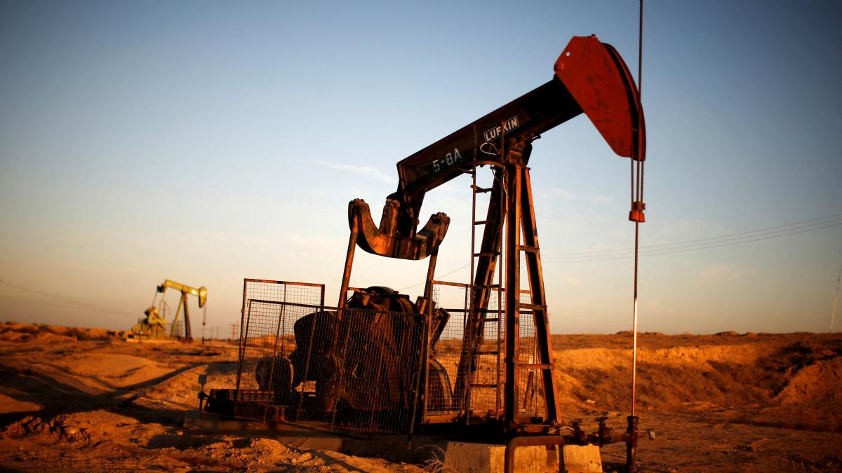 Oil prices can climb down to $100 per barrel depending upon Ukraine crisis, says energy expert Narendra Taneja 