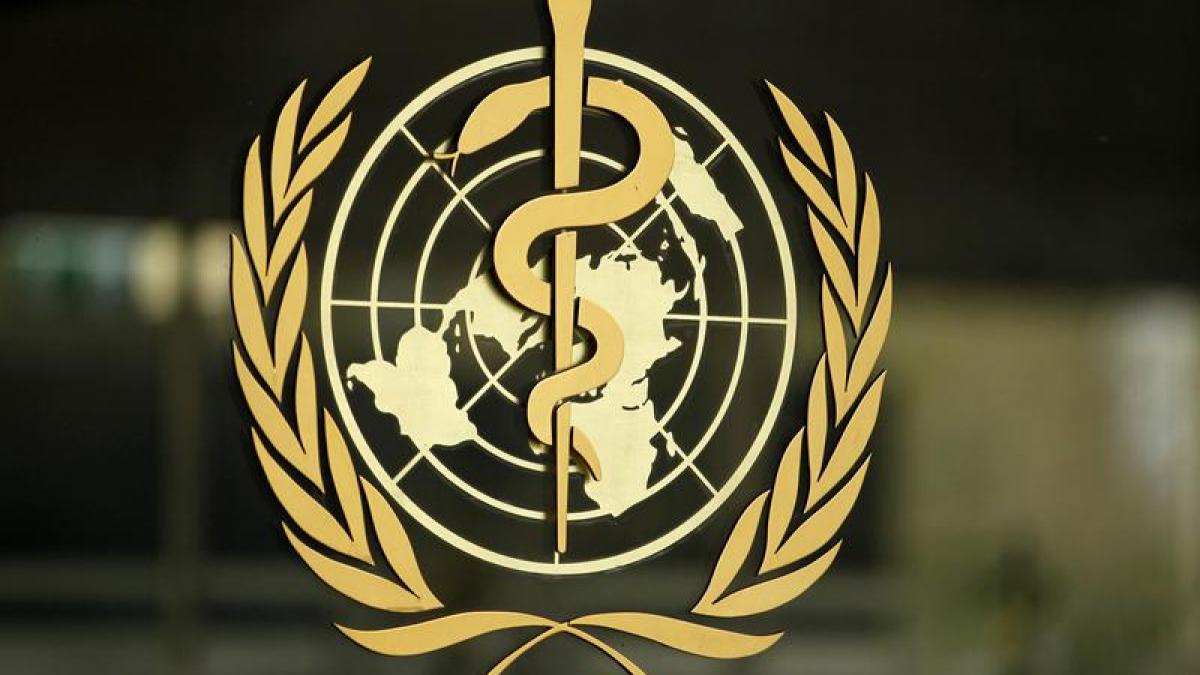 WHO warns 'sustained transmission' of monkeypox risks vulnerable groups 