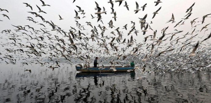 Govt rejects Environment Performance Index 2022 that ranked India lowest among 180 countries (Photo: Reuters) Govt rejects Environment Performance Index 2022 that ranked India lowest among 180 countries (Photo: Reuters)