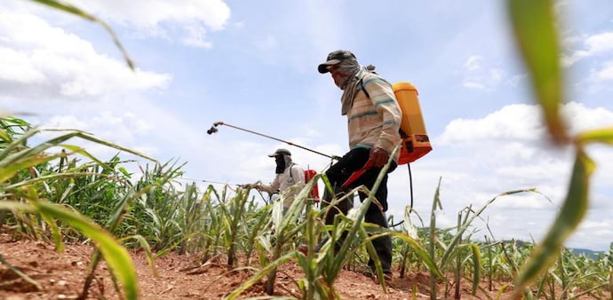 EU Commission proposes cutting pesticides by 50% by 2030 (Photo: Reuters) EU Commission proposes cutting pesticides by 50% by 2030 (Photo: Reuters)