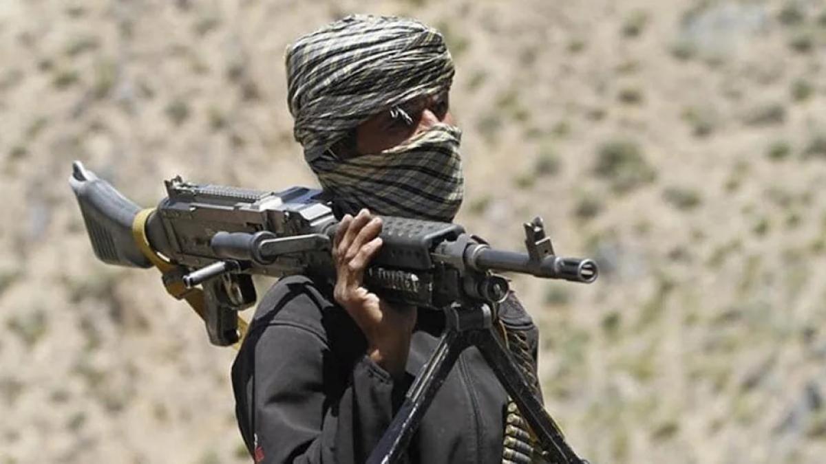 Hizbul terrorist killed in encounter in Kulgam, operation continues: Police