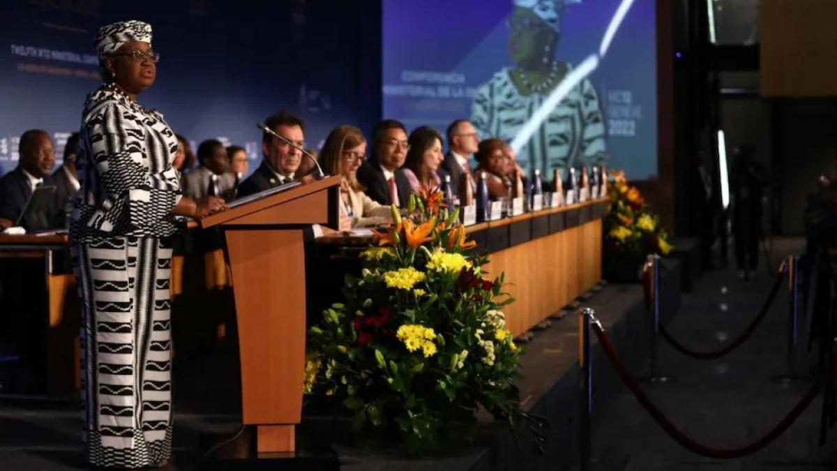 WTO director-general urges countries to accept 'unprecedented' trade agreements