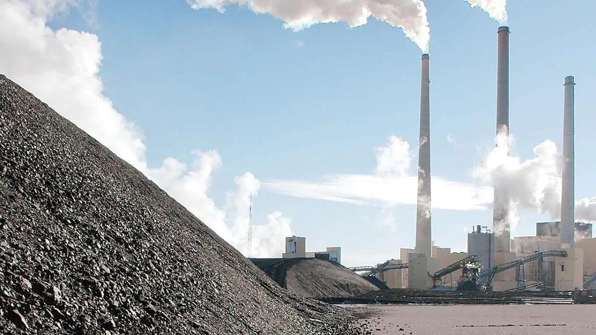 Coal-based electricity generation backbone of India's power sector: NTPC chief - BusinessToday