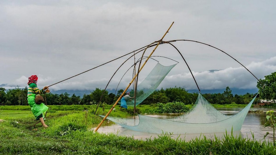 A bad monsoon invariably means bad crop production and inflation. A bad monsoon invariably means bad crop production and inflation.