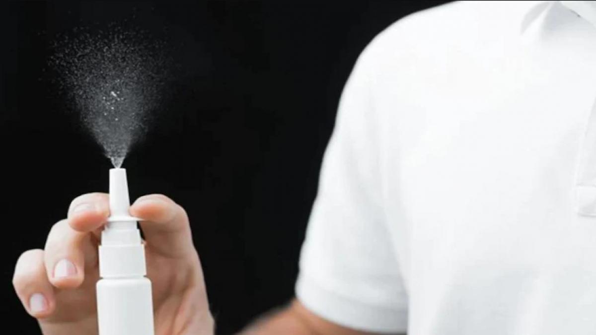 While for many, vaccines are the first line of defence against infection, nasal vaccines have recently attracted a lot of interest for their incredible utility. While for many, vaccines are the first line of defence against infection, nasal vaccines have recently attracted a lot of interest for their incredible utility.