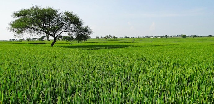 Currently, ISALPI is based on land listing data from six states: Andhra Pradesh, Karnataka, Maharashtra, Tamil Nadu, Telangana, and Uttar Pradesh. Currently, ISALPI is based on land listing data from six states: Andhra Pradesh, Karnataka, Maharashtra, Tamil Nadu, Telangana, and Uttar Pradesh.