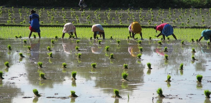 India is the world's biggest exporter of rice, with a market share of more than 40%. India is the world's biggest exporter of rice, with a market share of more than 40%.