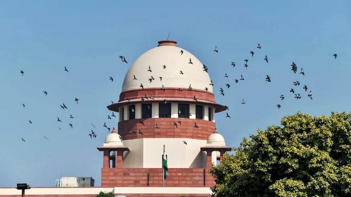 SC irked over mining activities continuing without forest clearance in Odisha SC irked over mining activities continuing without forest clearance in Odisha