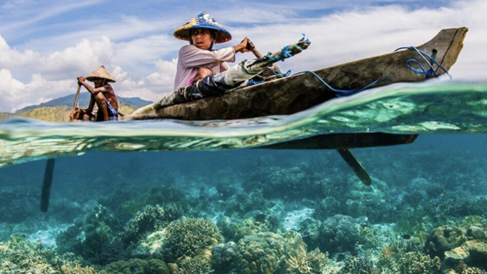 World Oceans Day 2022: What's the status of India's blue economy? (Photo: UN) World Oceans Day 2022: What's the status of India's blue economy? (Photo: UN)