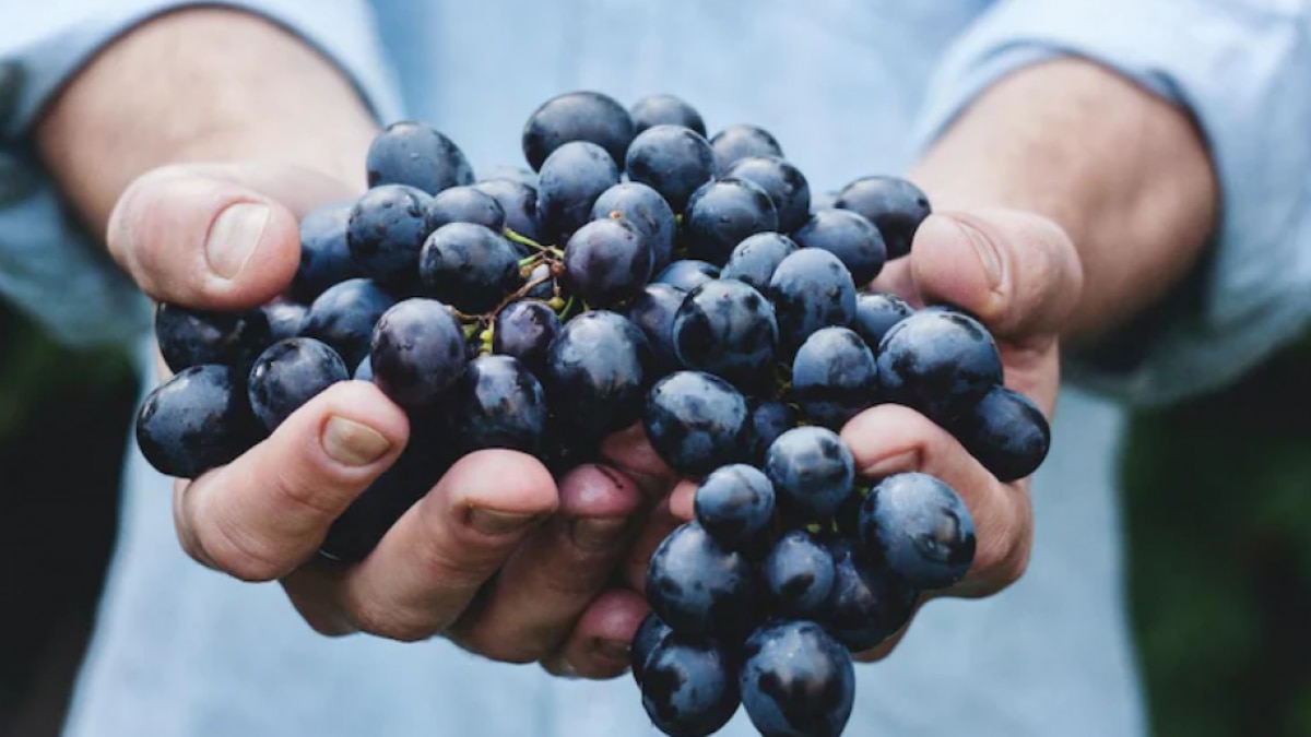 World Food Safety Day 2022: Find out more about its history, theme and importance