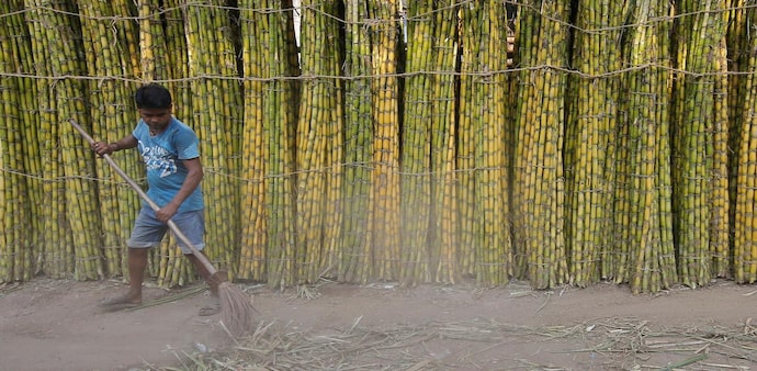 Indian sugar output could rise to a record, says trade group (Photo: Reuters) Indian sugar output could rise to a record, says trade group (Photo: Reuters)