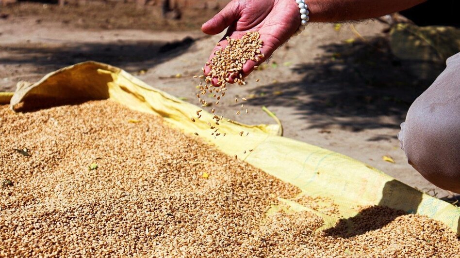 About 33,000 tonnes of wheat as humanitarian assistance has already been supplied to Afghanistan against the commitment of 50,000 tonne About 33,000 tonnes of wheat as humanitarian assistance has already been supplied to Afghanistan against the commitment of 50,000 tonne