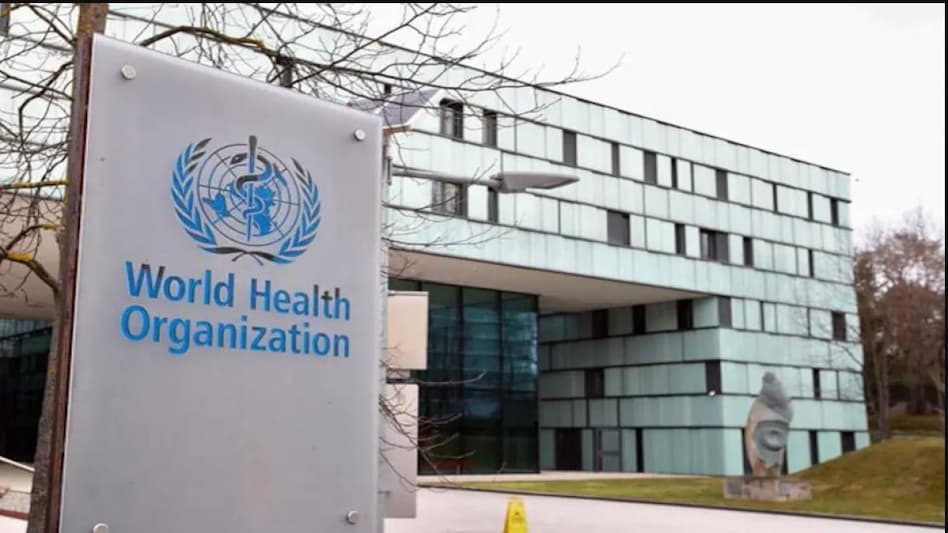 WHO does not declare pandemics, but it did start using the term to describe COVID-19 in March 2020. WHO does not declare pandemics, but it did start using the term to describe COVID-19 in March 2020.
