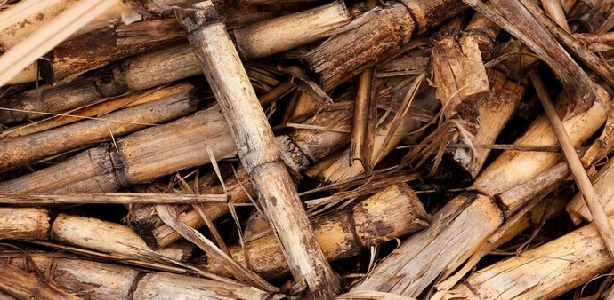Biomass co-firing along with coal presents a viable solution to the stubble burning problem while affording multiple benefits like additional income for farmers, power generation, and reduction of dependence on coal. Biomass co-firing along with coal presents a viable solution to the stubble burning problem while affording multiple benefits like additional income for farmers, power generation, and reduction of dependence on coal.
