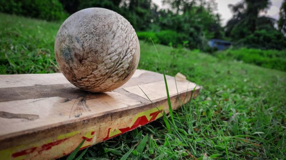 That's not cricket! Cops break up Gujarat's fake Indian Premier League