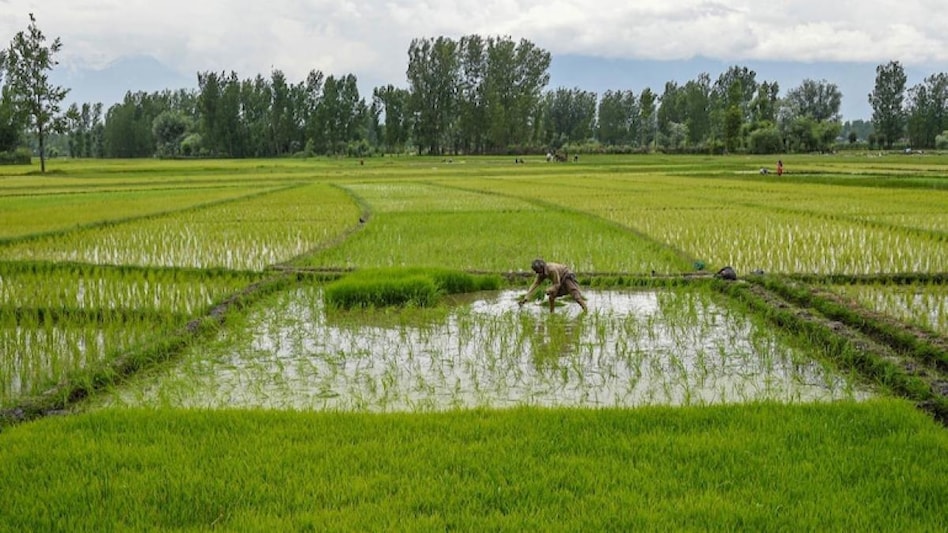 Govt receives Rs 23,000 crore proposals under Agriculture Infrastructure Fund Govt receives Rs 23,000 crore proposals under Agriculture Infrastructure Fund