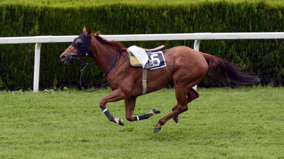 Representative image Representative image