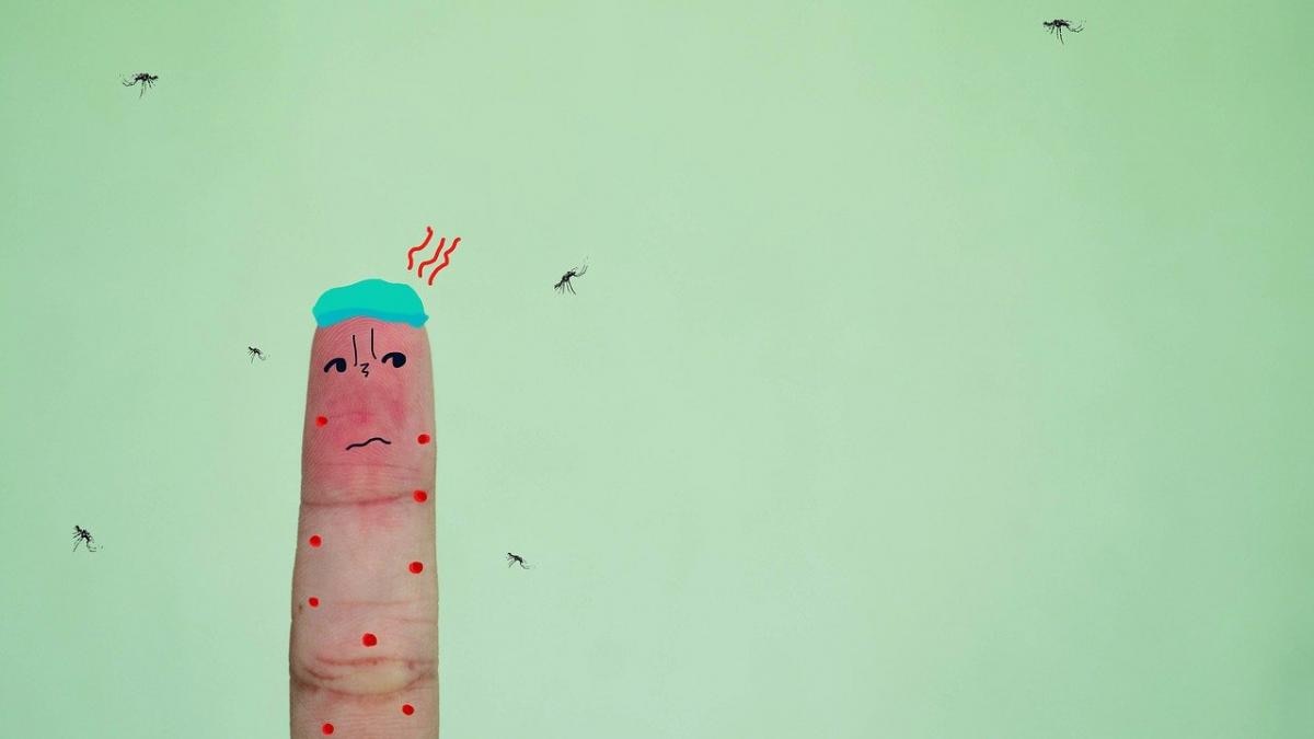 Viruses can change your scent to make more attractive to mosquitoes