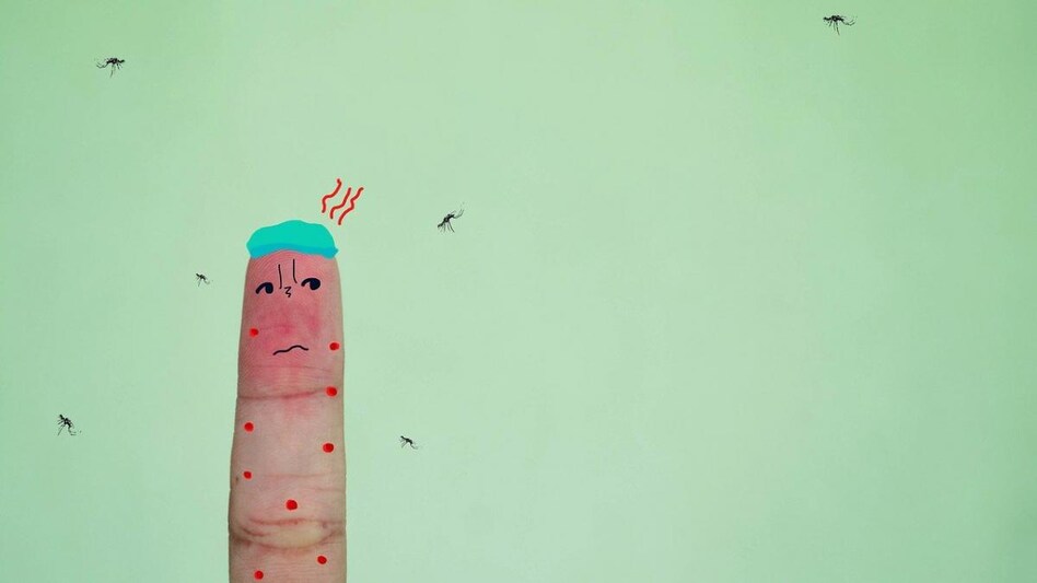 Mosquitoes are the world's deadliest animal. Over 1 million deaths per year are attributed to mosquito-borne diseases Mosquitoes are the world's deadliest animal. Over 1 million deaths per year are attributed to mosquito-borne diseases