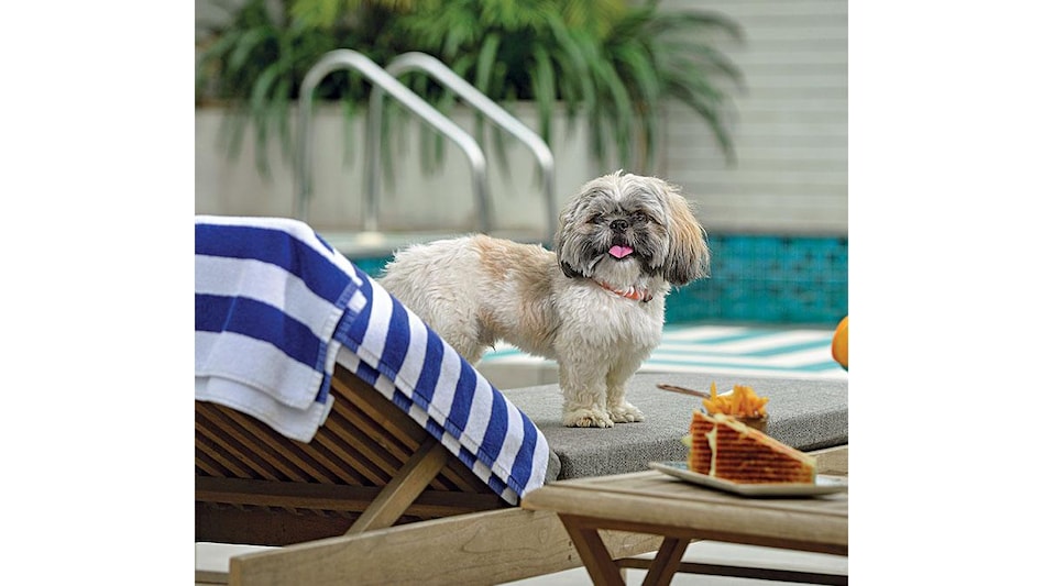 Photo: Rajwant Rawat Photo: Rajwant Rawat