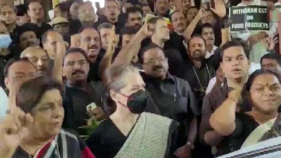 Sonia Gandhi led party MPs’ protest against inflation and unemployment on Frida Sonia Gandhi led party MPs’ protest against inflation and unemployment on Frida