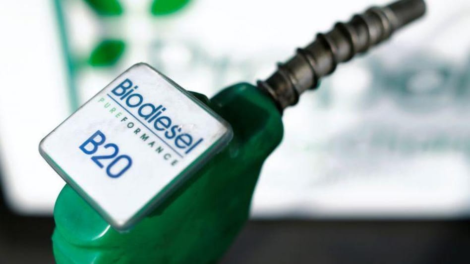 World Biofuel Day 2022: Auto industry body SIAM hosts seminar to promote biofuels (Photo: Reuters) World Biofuel Day 2022: Auto industry body SIAM hosts seminar to promote biofuels (Photo: Reuters)