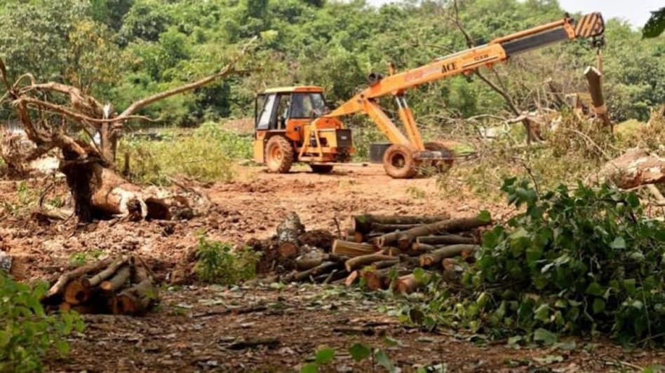 No tree cutting in Aarey, only bushes and branches trimmed: MMRCL to SC No tree cutting in Aarey, only bushes and branches trimmed: MMRCL to SC