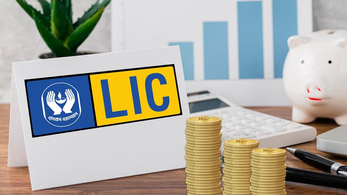 LIC shares likely to rise 22% post Q1 earnings, check new target price - Vimarsana News