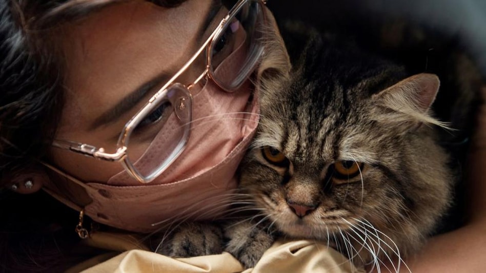 Why pet care industry is witnessing a fast-paced growth after Covid-19 pandemic? (Photo: Reuters) Why pet care industry is witnessing a fast-paced growth after Covid-19 pandemic? (Photo: Reuters)