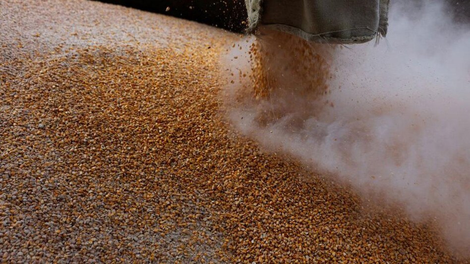 Free ration scheme might be extended by the govt Free ration scheme might be extended by the govt