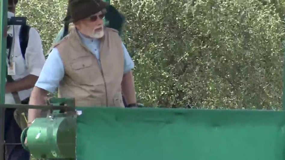 PM Modi said that people will have to show patience and wait for a few months to see these cheetahs in Kuno National Park. PM Modi said that people will have to show patience and wait for a few months to see these cheetahs in Kuno National Park.