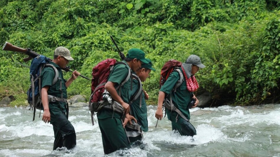 UPSSSC Forest Guard Recruitment 2022: Check eligibility and other details UPSSSC Forest Guard Recruitment 2022: Check eligibility and other details