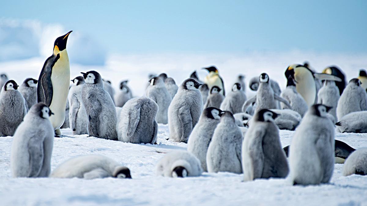 Here are some of the most lavish vacation experiences to bookmark for your post-pandemic adventures Here are some of the most lavish vacation experiences to bookmark for your post-pandemic adventures